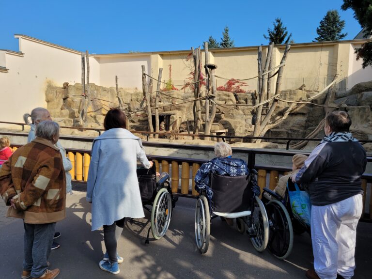Grupa osób stoi przed wybiegiem dla małp i obserwuje zwierzęta, wśród nich są dwie osoby na wózkach inwalidzkich.