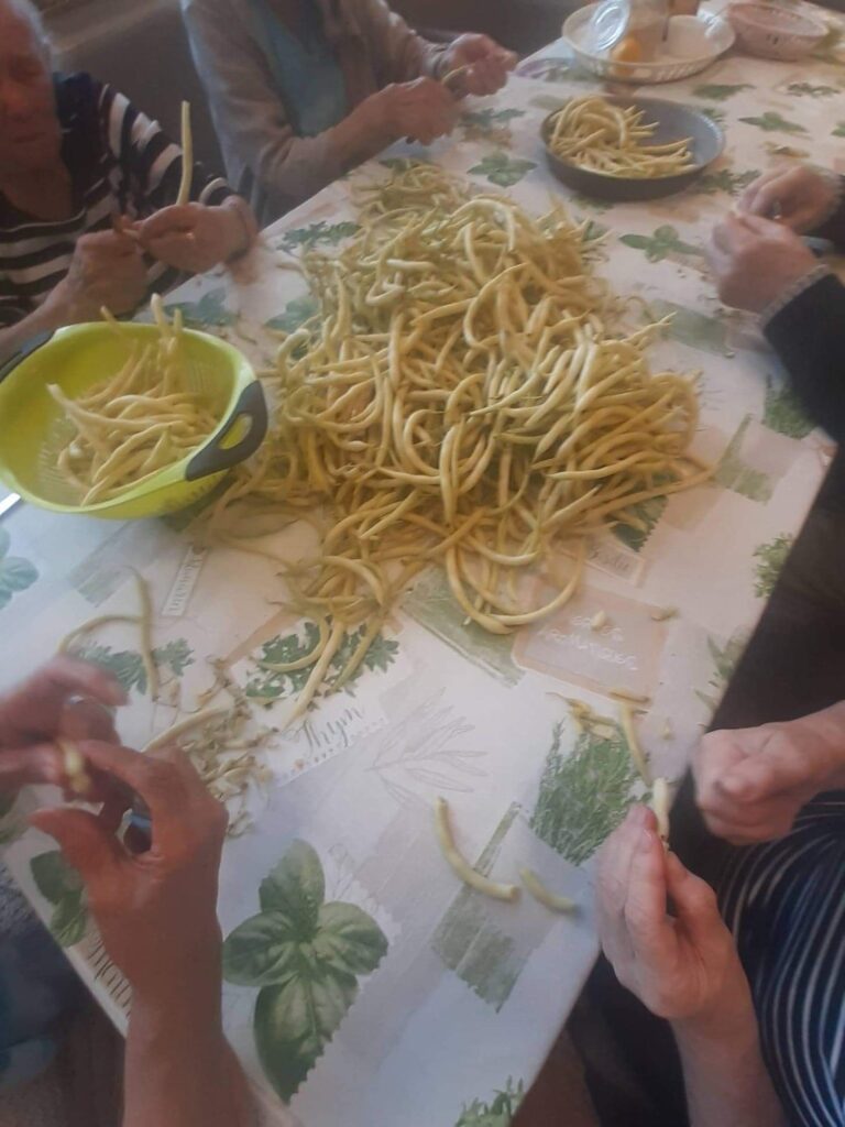 grupa osób siedzi przy stole i przebiera fasolkę szparagową